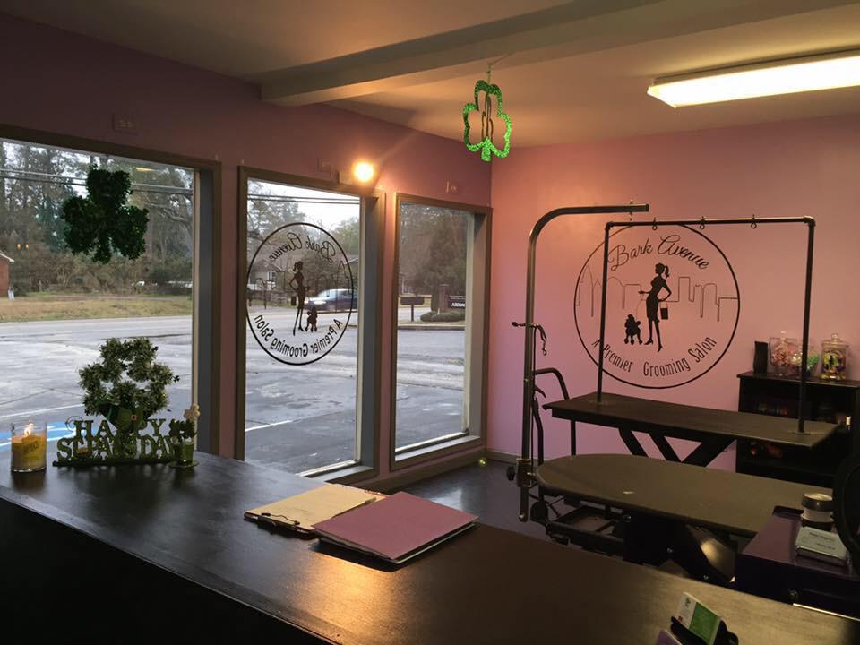 Inside our salon, with the grooming table beside the front windows